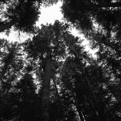 Similar image 8073241