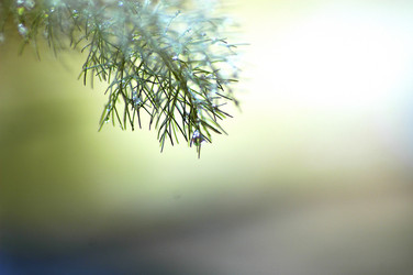 Similar image 8073244