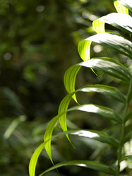 Similar image 8073246