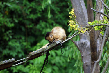 Similar image 8073247