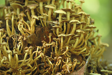 Similar image 8073253