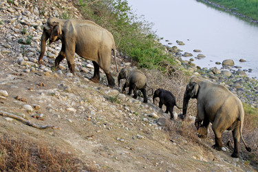 Similar image 8073257