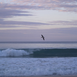 Similar image 8073260