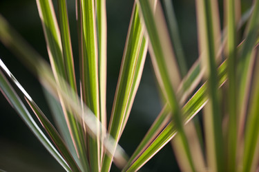 Similar image 8073261