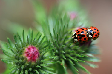 Similar image 8073265