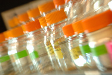 Similar image 8073269