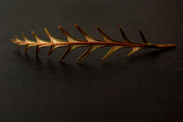 Similar image 8073274