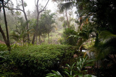 Similar image 8073279