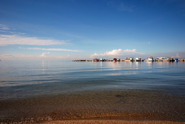 Similar image 8073283