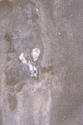 Similar image 8073290