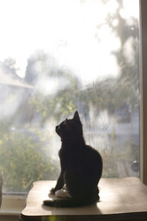 Similar image 8073323