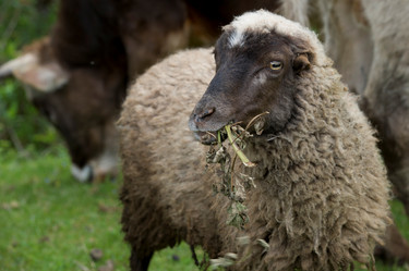 Similar image 8073325