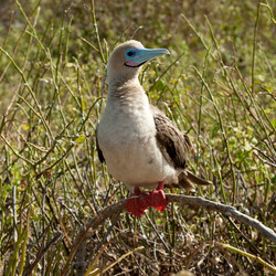 Similar image 8073331