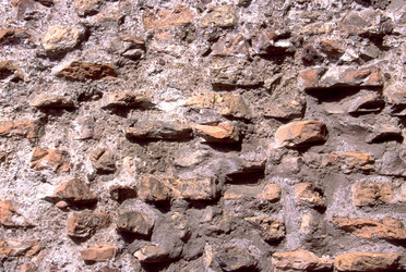 Similar image 8073342