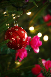 Similar image 8073348