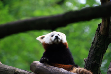 Similar image 8073352