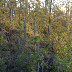 Similar image 8073354