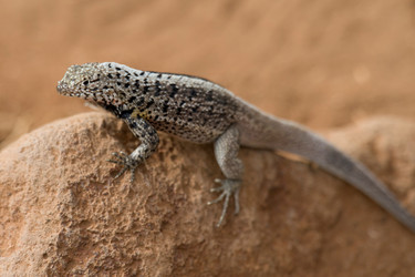 Similar image 8073372