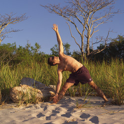 Similar image 8073374