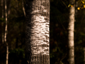 Similar image 8073376