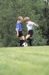 Similar image 8073401