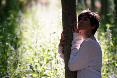 Similar image 8073402