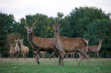 Similar image 8073404