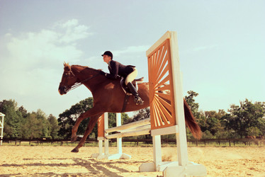 Similar image 8073416