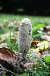 Similar image 8073417