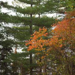 Similar image 8073421