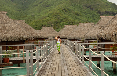 Similar image 8073423