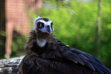 Similar image 8073424