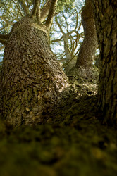 Similar image 8073427