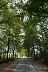 Similar image 8073432