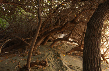 Similar image 8073440