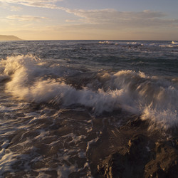 Similar image 8073450