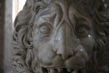 Similar image 8073457