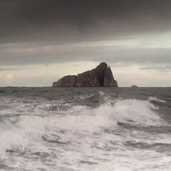 Similar image 8073463