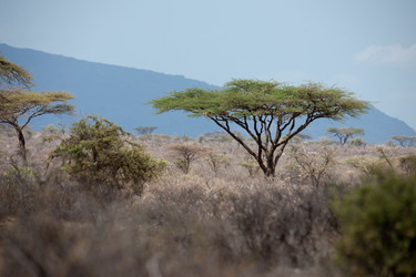 Similar image 8073467