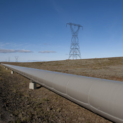 Similar image 8073468