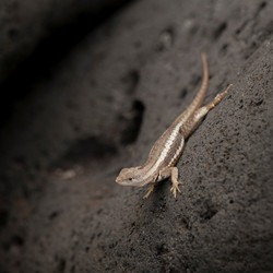 Similar image 8073470