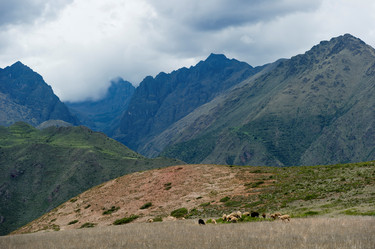 Similar image 8073473