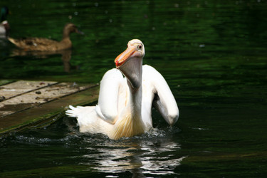 Similar image 8073477