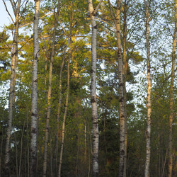 Similar image 8073479