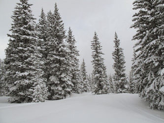 Similar image 8073481