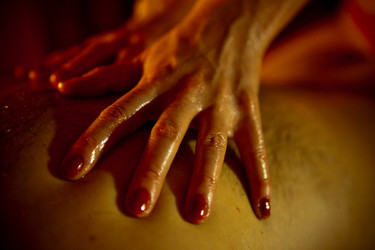 Similar image 8073485