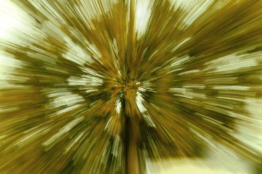 Similar image 8073505