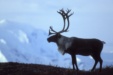 Similar image 8073514