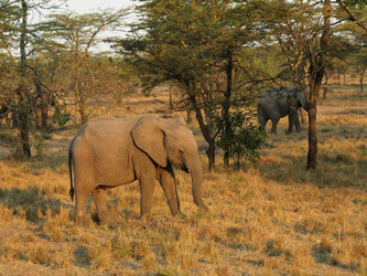 Similar image 8073546