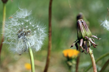 Similar image 8073552